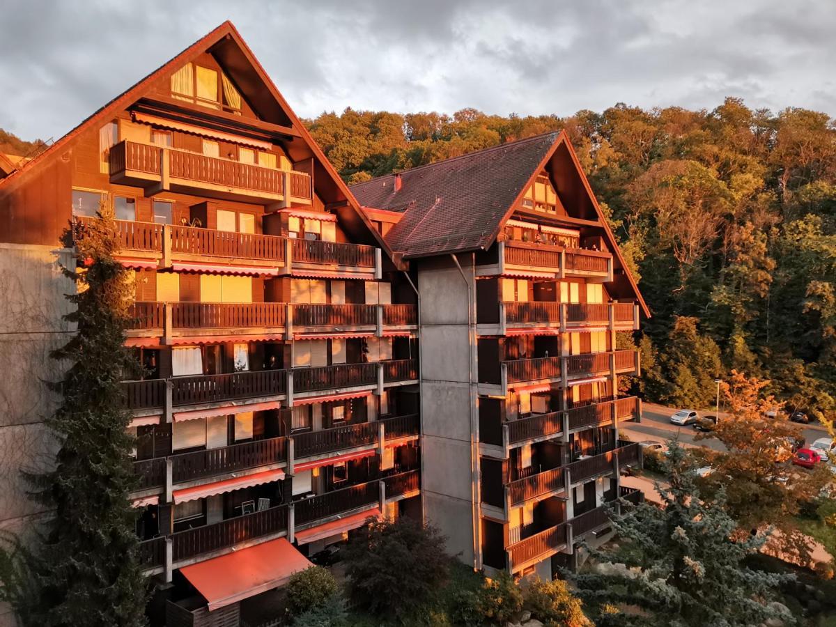 Gaishoell-Wasserfaelle Apartment Schwarzwald Sasbachwalden Exteriér fotografie
