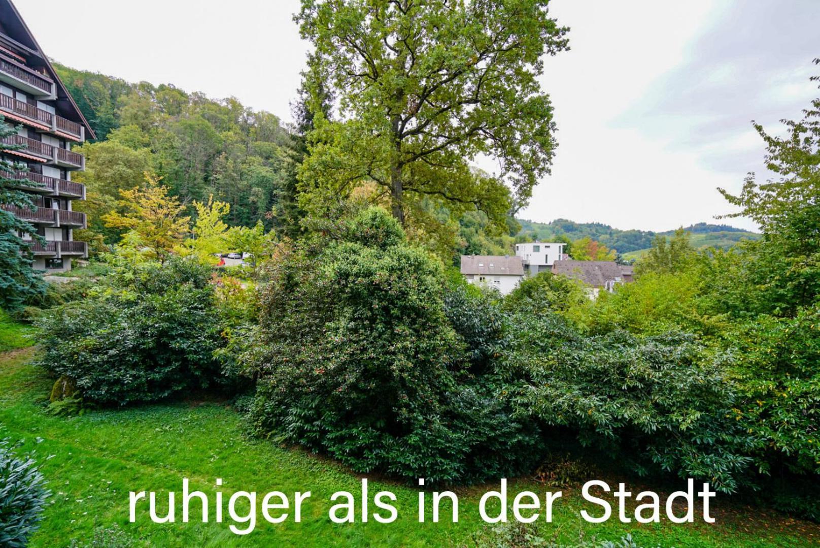 Gaishoell-Wasserfaelle Apartment Schwarzwald Sasbachwalden Exteriér fotografie